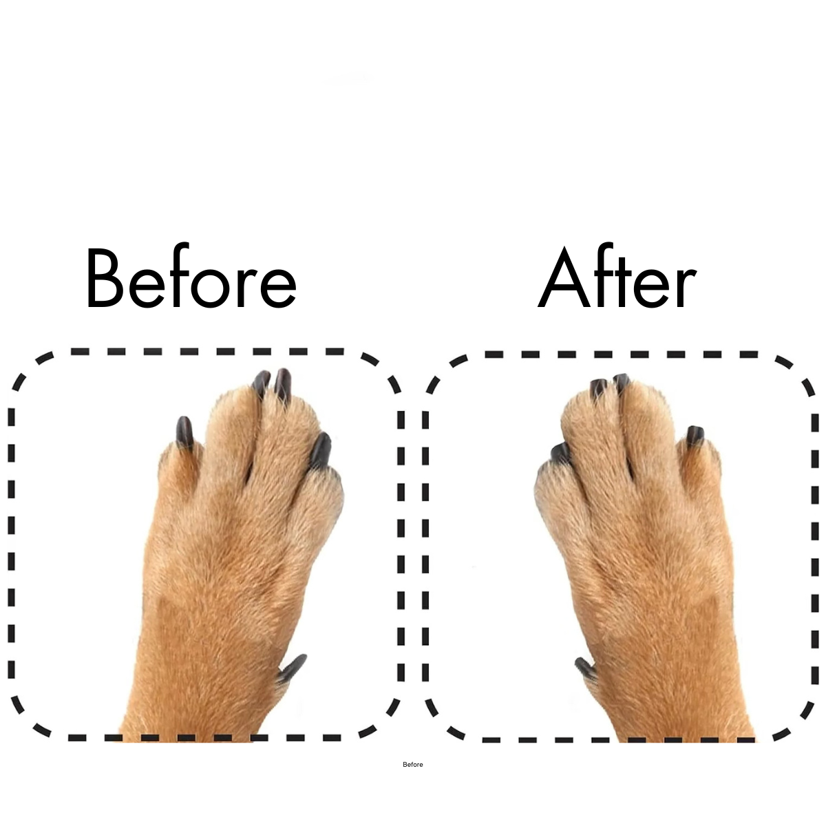 ScratchPad